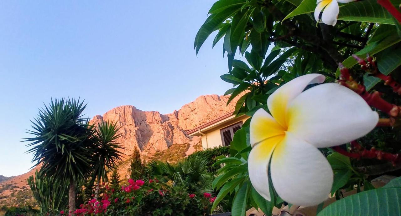 Bed and Breakfast Ciuri Ri Zagara Cinisi Exteriér fotografie